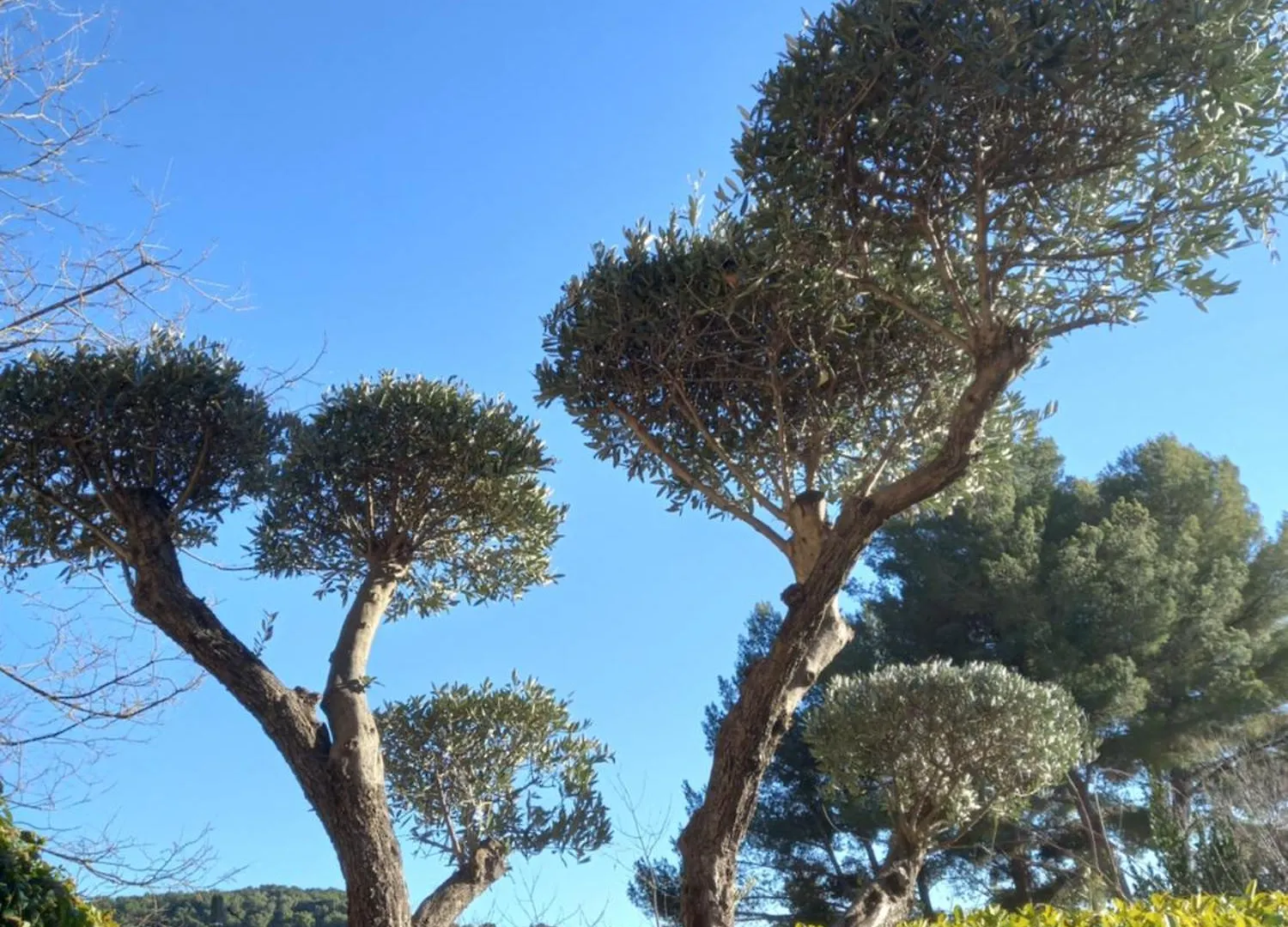 Le Jardin De Sabine Apartment Eguilles
