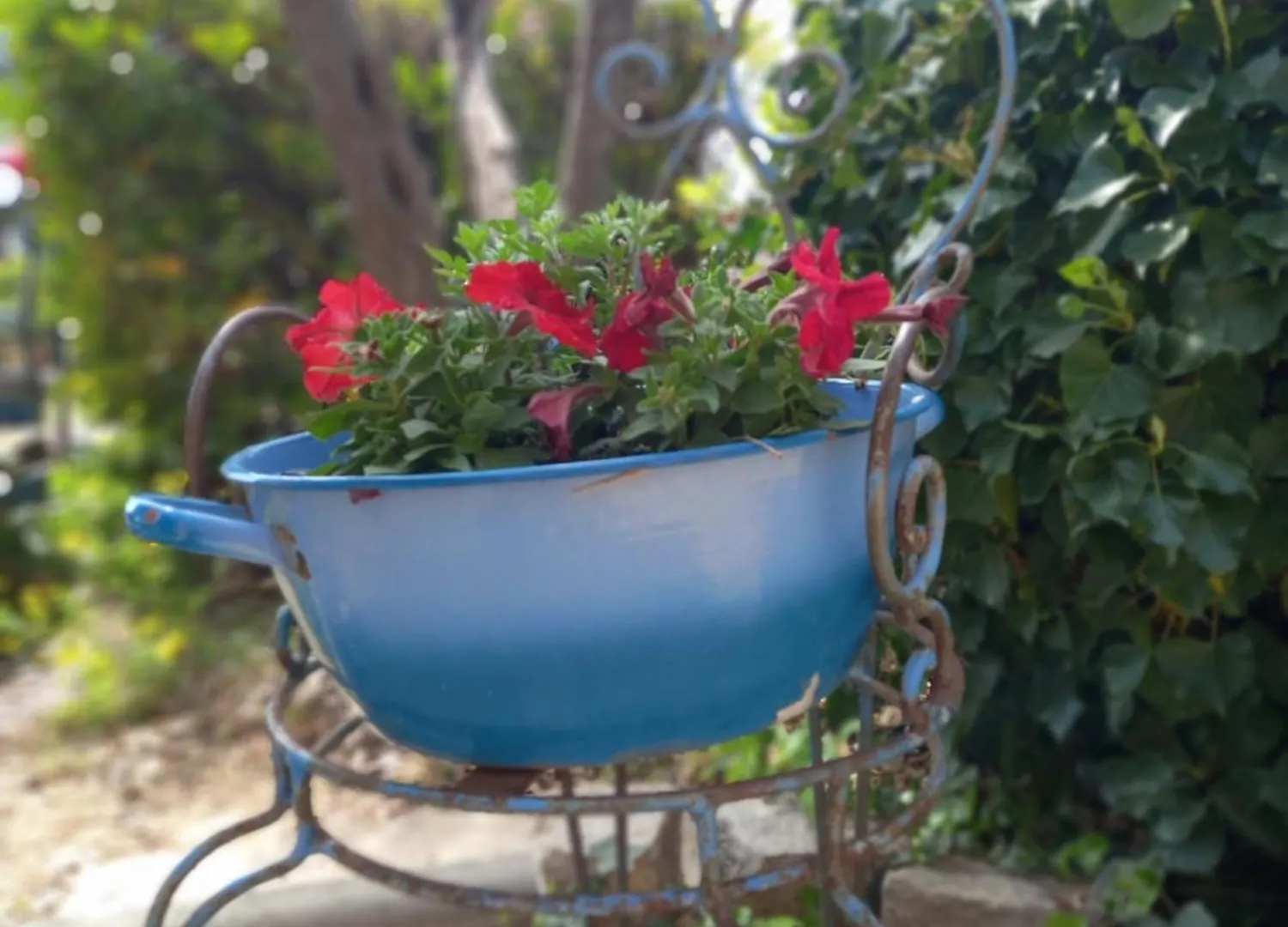 Homestay Le Jardin De Sabine Apartment Eguilles